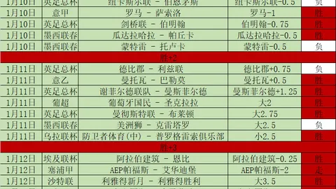 布莱顿对阵伯恩茅斯：英超焦点战在即，双方实力接近，伯恩茅斯状态起伏不定